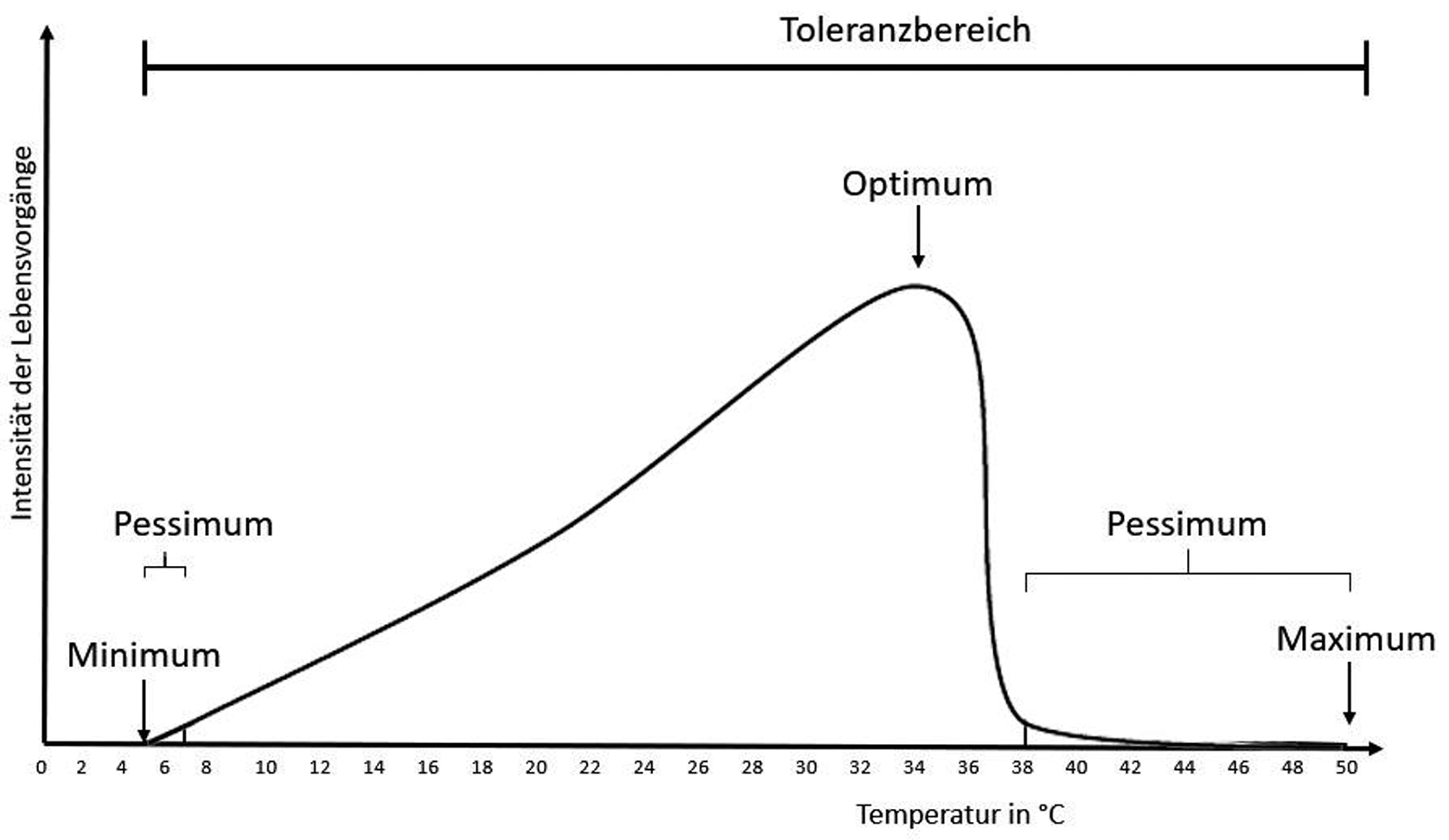 Diagramm: Intensität der Lebensvorgänge vs. Temperatur mit Minimum, Optimum, Maximum und Toleranzbereich.